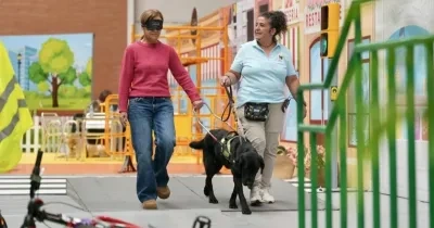 Participantes en una actividad de ONCE con perros guía