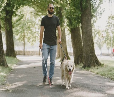 Una persona ciega camina por un parque con su perro guía (Fuente: Servimedia)