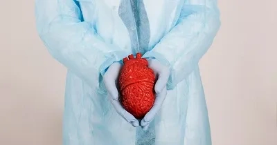 Manos de cirujanos sujetando un corazón