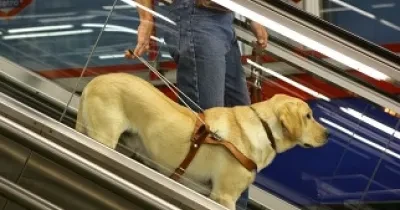 Una persona ciega accede con su perro guía al Metro (Fuente: Fundación ONCE)