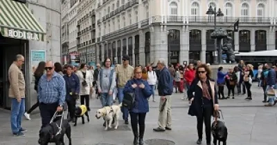 Perros guía de paseo por Madrid (Fuente: Grupo Social ONCE)