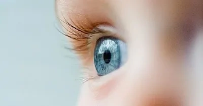 Fotografía de un ojo abierto para ver la retina (Fuente: UCM)