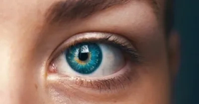 Imagen de un ojo (Fuente: Comunidad de Madrid)