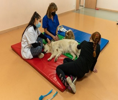 Un momento de una de las terapias con perros para menores con trastornos de salud mental (Fuente: Purina)