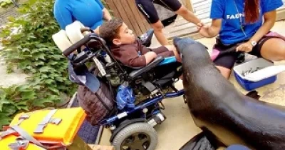 Niños realizando terepia junto a leones marinos en el parque de animales Faunia, Madrid (Fuente: Aspaym)