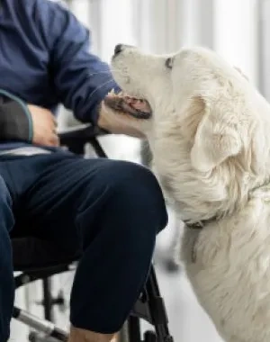 Un joven con discapacidad acaricia a su perro 