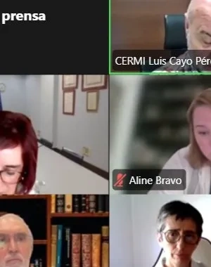 Imagen de una videoconferencia donde salen12 personas en una llamada virtual
