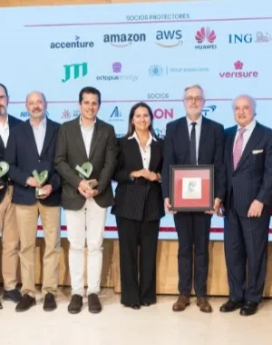 Todos los representantes de las entidades premiadas recogiendo en el escenario el galardón
