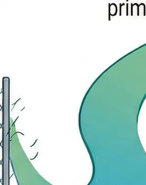 personas con discapacidad rompiendo barreras