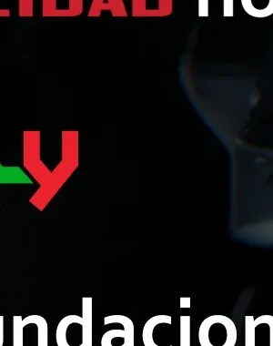 titulo "la accesibilidad no es un juego" mas logos de Gally y ONCE