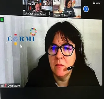 Un momento del seminario ‘Litigación estratégica y personas sordas’, donde Luis Cayo Pérez Bueno se ha reunido por videoconferencia con representantes de diferentes organizaciones sociales (Fuente: CERMI)