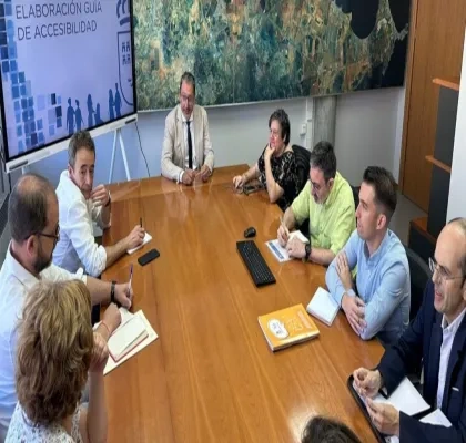 Reunión en el marco de diseño y elaboración de la guía de accesibilidad