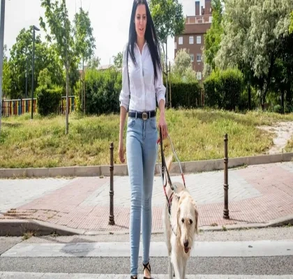 Usuaria ciega cruzando la calle con su perro guía