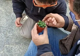 Actividad en ‘Empower Parents’ | Foto del Real Jardín Botánico