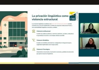 Imagen del Webinario “La privación lingüística como forma de violencia en la infancia sorda” CNSE