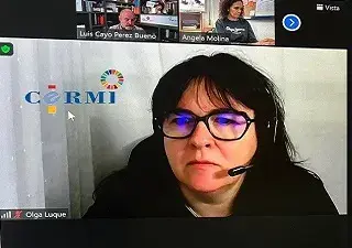 Un momento del seminario ‘Litigación estratégica y personas sordas’, donde Luis Cayo Pérez Bueno se ha reunido por videoconferencia con representantes de diferentes organizaciones sociales (Fuente: CERMI)