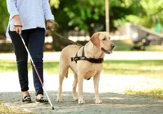 Una persona con discapacidad visual paseando con su perro por el parque (Fuente: Servimedia)