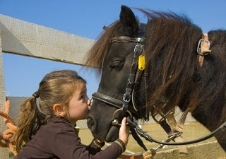Una niña en una clase de terapia asistida con animales, en esta ocasión con un caballo