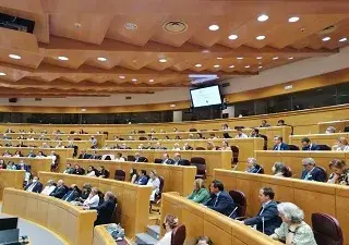 Un momento del hemiciclo donde se celebran los plenos del Senado (Fuente: Senado de España)