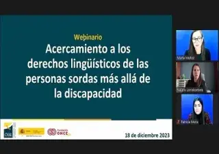 Un momento del webinario sobre los derechos lingüísticos de las personas sordas (Fuente: CNSE)
