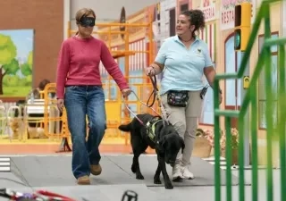 Participantes en una actividad de ONCE con perros guía