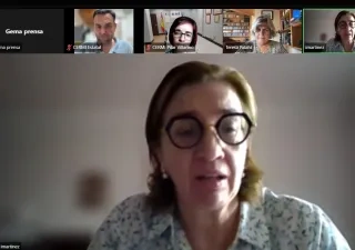 Reunión telemática de varias personas del cermi