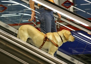 Una persona ciega accede con su perro guía al Metro (Fuente: Fundación ONCE)