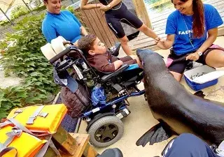 Niños realizando terepia junto a leones marinos en el parque de animales Faunia, Madrid (Fuente: Aspaym)