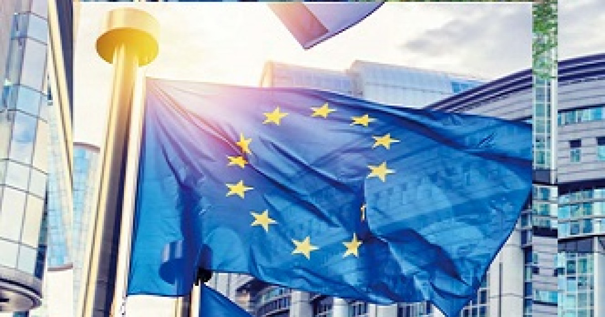Las instituciones y organismos de la Unión Europea en Lectura Fácil ...