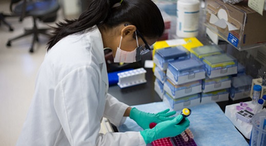técnico en laboratorio estudiando tratamientos genéticos
